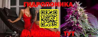 молекула духа Краснознаменск